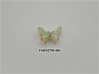 藏品(尺蛾374)的圖片